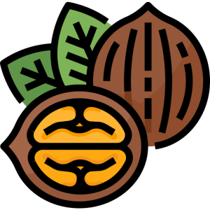 گردو